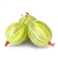 egreš3