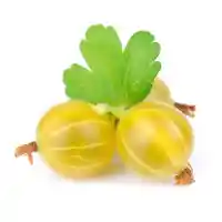 egreš2
